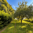 Gartenansicht - Landliebe pur – Traumgrundstück mit über 10.000 m² & Sanierungsbedürftigem Einfamilienhaus!
